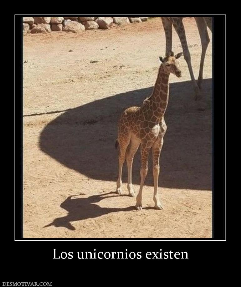 Los unicornios existen