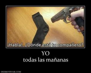 YO todas las mañanas