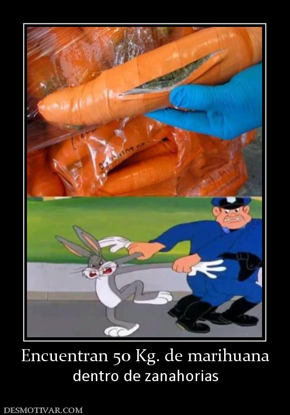 Encuentran 50 Kg. de marihuana dentro de zanahorias