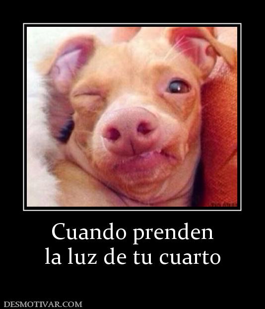 Cuando prenden la luz de tu cuarto