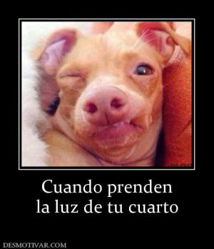 Cuando prenden la luz de tu cuarto