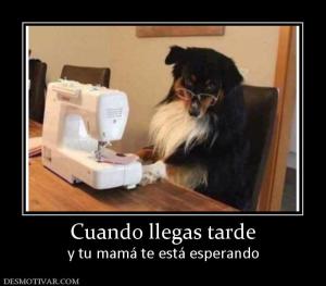 Cuando llegas tarde y tu mamá te está esperando