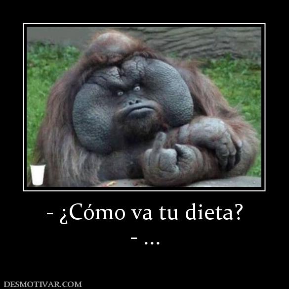 - ¿Cómo va tu dieta? - ...
