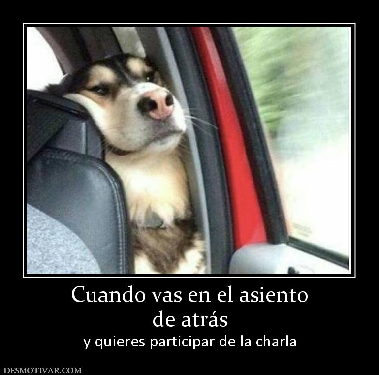 Cuando vas en el asiento de atrás y quieres participar de la charla