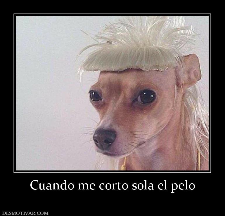Cuando me corto sola el pelo
