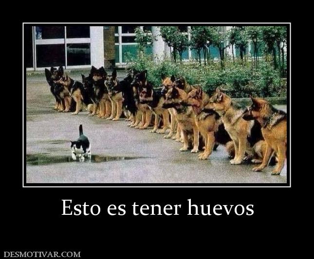 Esto es tener huevos