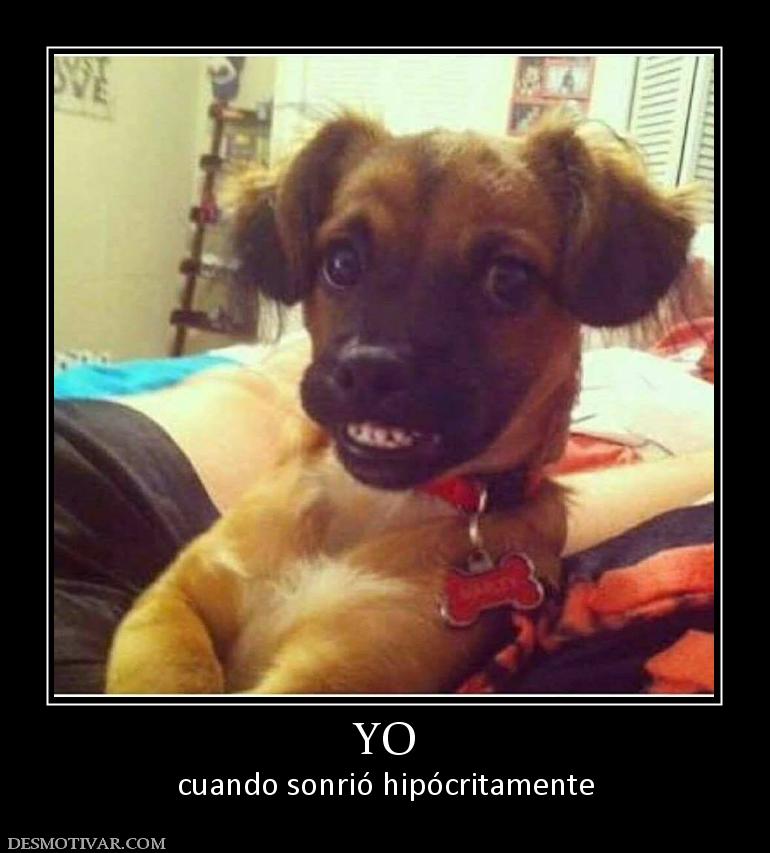 YO cuando sonrió hipócritamente