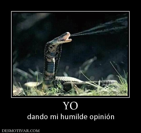 YO dando mi humilde opinión
