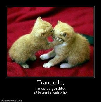 Tranquilo, no estás gordito, sólo estás peludito