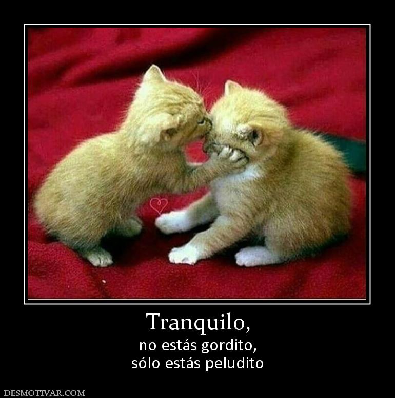 Tranquilo, no estás gordito, sólo estás peludito