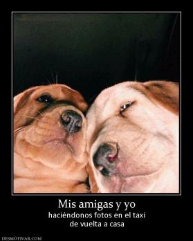 Mis amigas y yo haciéndonos fotos en el taxi de vuelta a casa