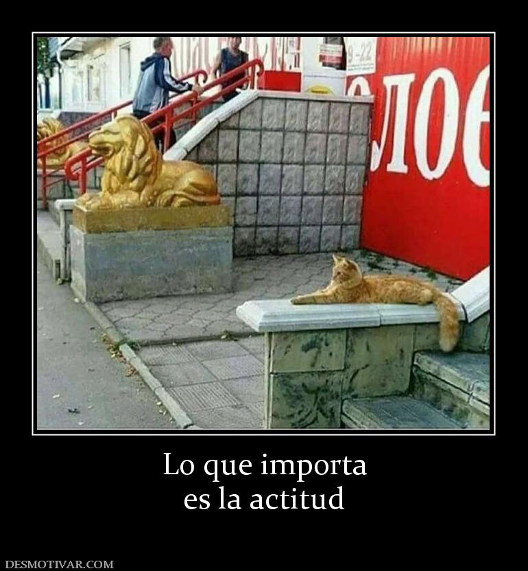 Lo que importa es la actitud
