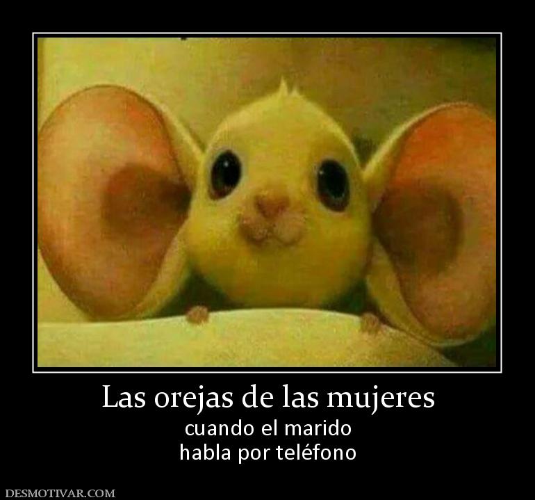 Las orejas de las mujeres cuando el marido habla por teléfono