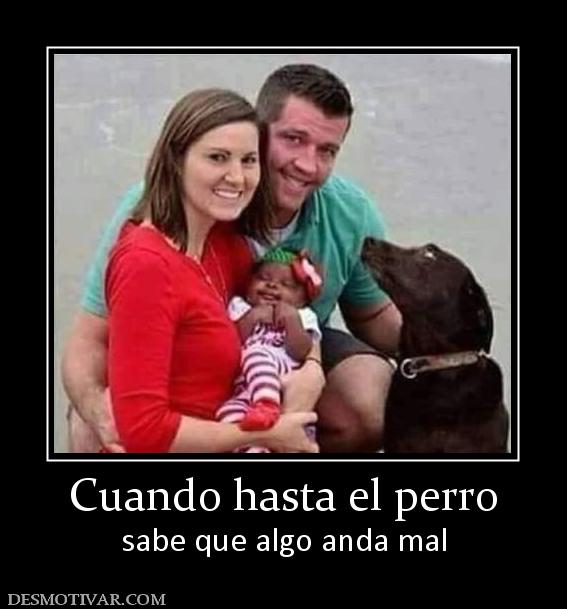 Cuando hasta el perro sabe que algo anda mal