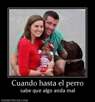Cuando hasta el perro sabe que algo anda mal
