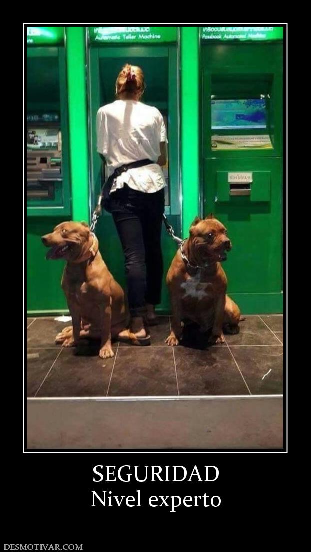 SEGURIDAD Nivel experto