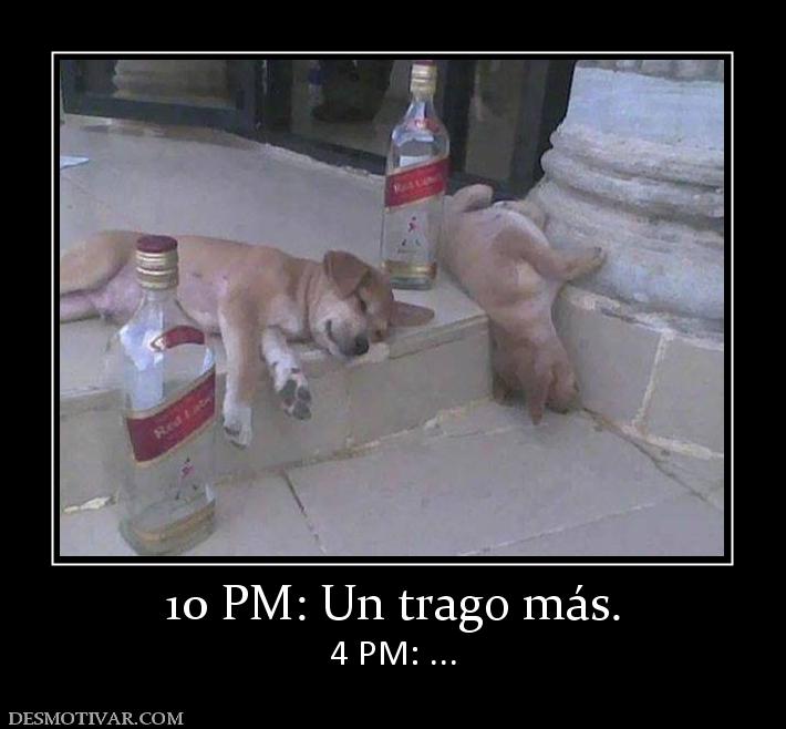 10 PM: Un trago más. 4 PM: ...