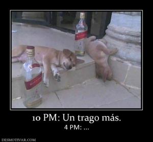 10 PM: Un trago más. 4 PM: ...