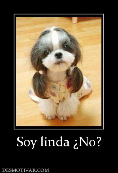 Soy linda ¿No?