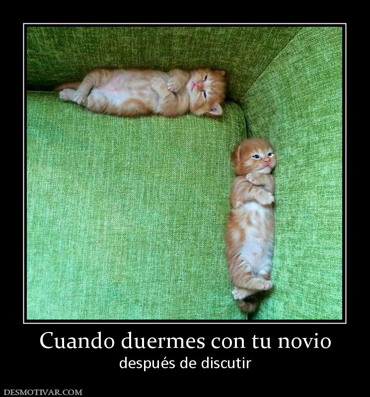 Cuando duermes con tu novio después de discutir
