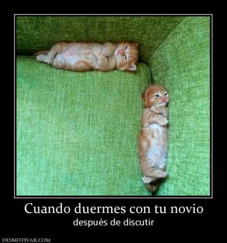 Cuando duermes con tu novio después de discutir