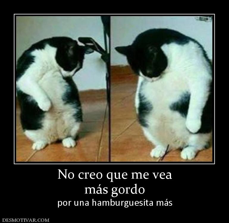 No creo que me vea más gordo por una hamburguesita más