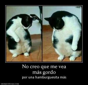 No creo que me vea más gordo por una hamburguesita más