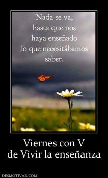 Viernes con V de Vivir la enseñanza
