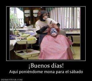 ¡Buenos días! Aquí poniéndome mona para el sábado
