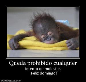 Queda prohibido cualquier intento de molestar. ¡Feliz domingo!