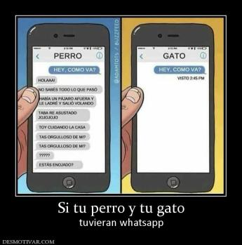 Si tu perro y tu gato tuvieran whatsapp