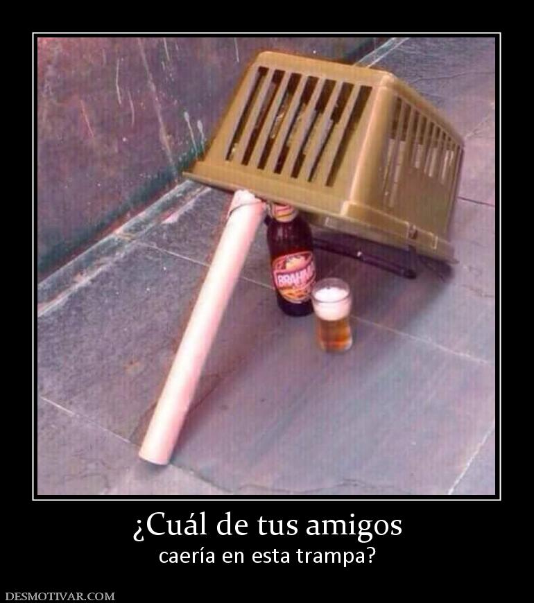 ¿Cuál de tus amigos caería en esta trampa?
