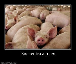 Encuentra a tu ex