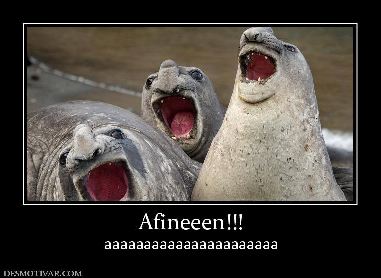Afineeen!!! aaaaaaaaaaaaaaaaaaaaaa