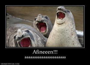 Afineeen!!! aaaaaaaaaaaaaaaaaaaaaa