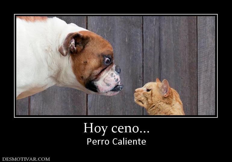 Hoy ceno... Perro Caliente