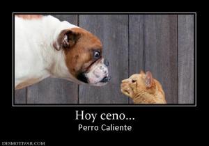 Hoy ceno... Perro Caliente