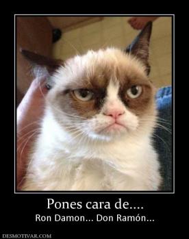 Pones cara de.... Ron Damon... Don Ramón...
