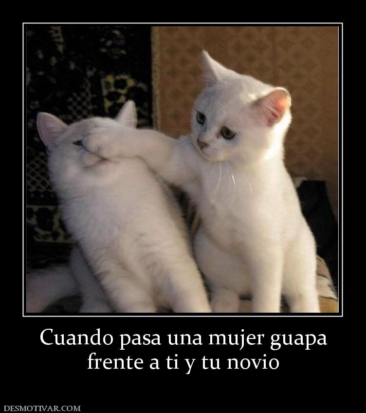 Cuando pasa una mujer guapa frente a ti y tu novio