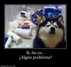 Si, fui yo... ¿Algún problema?