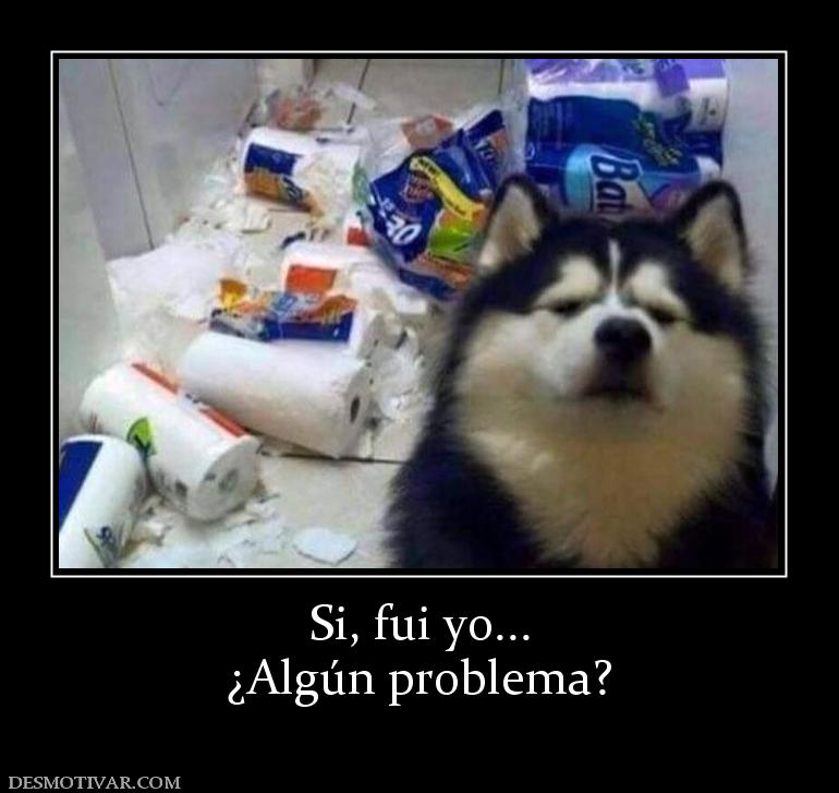 Si, fui yo... ¿Algún problema?