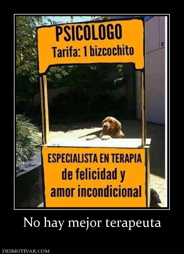 No hay mejor terapeuta