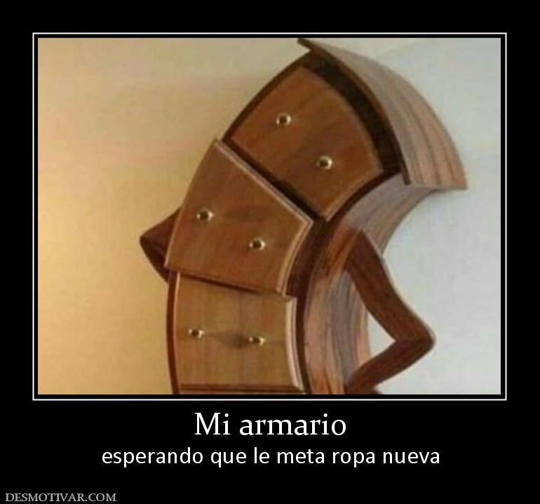 Mi armario esperando que le meta ropa nueva