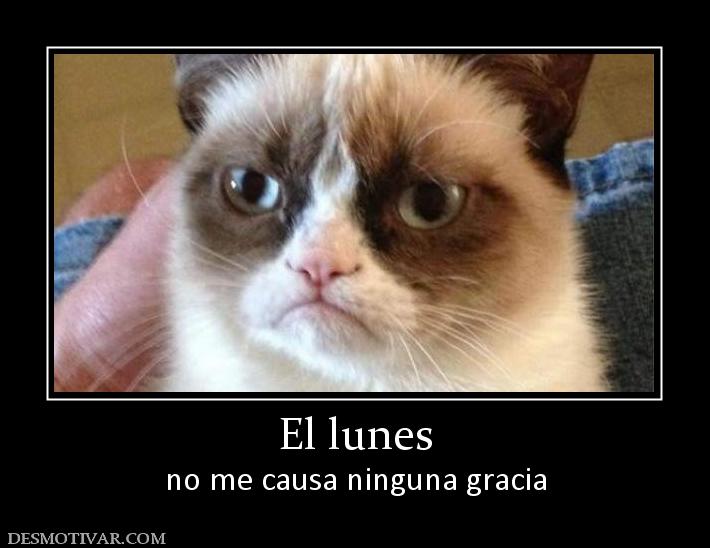 El lunes no me causa ninguna gracia