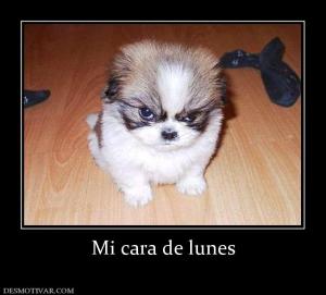 Mi cara de lunes