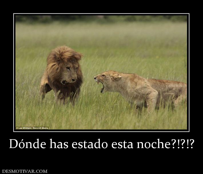 Dónde has estado esta noche?!?!?