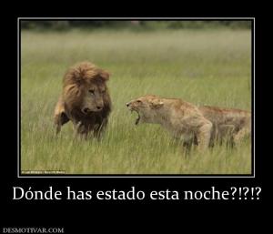 Dónde has estado esta noche?!?!?