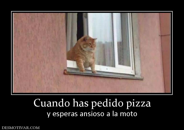 Cuando has pedido pizza y esperas ansioso a la moto