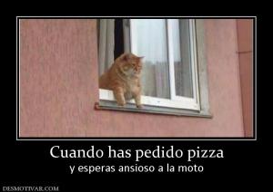 Cuando has pedido pizza y esperas ansioso a la moto