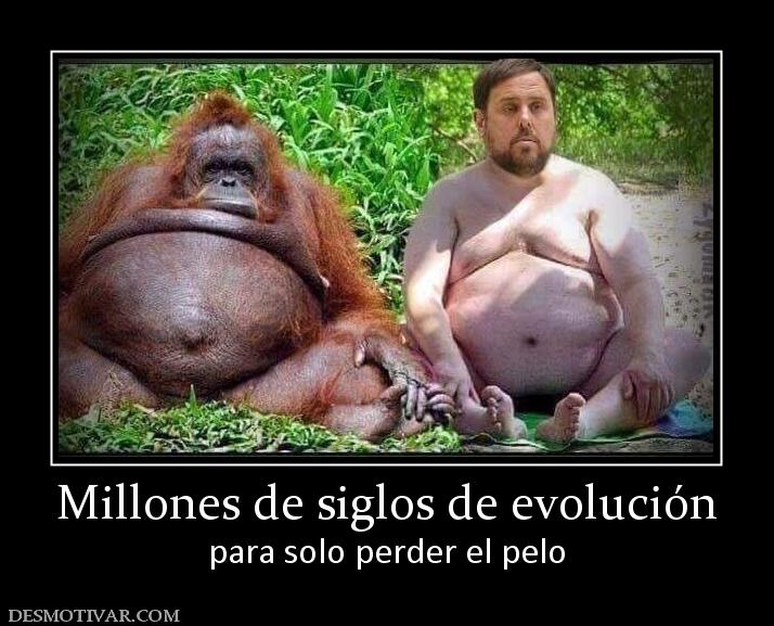 Millones de siglos de evolución para solo perder el pelo